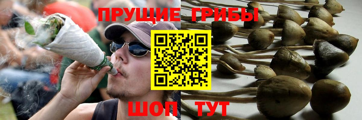 Галлюциногенные грибы ЛСД Кинель